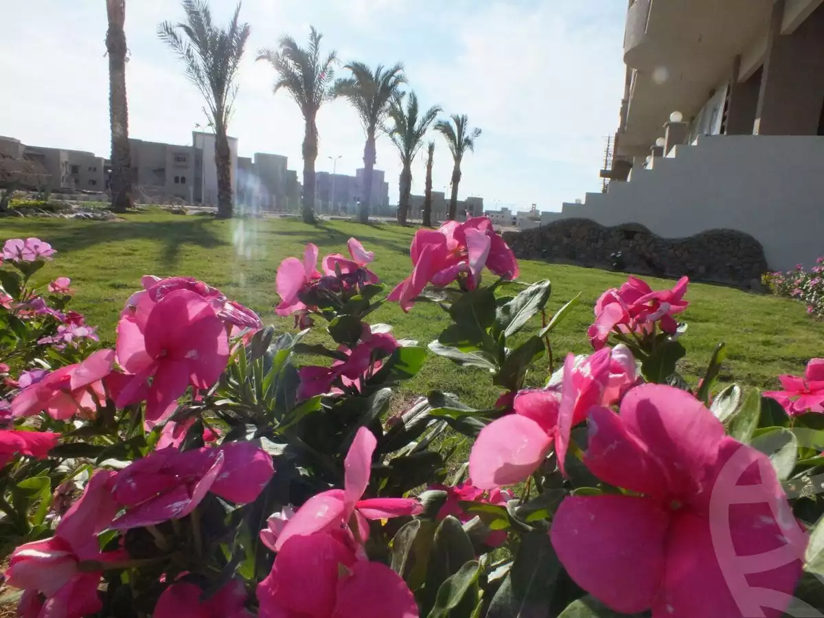 https://aqarmap.com.eg/en/listing/4164995-for-rent-red-sea-hurghada-resorts