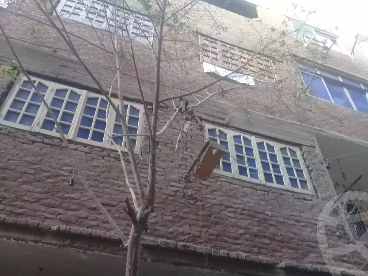 https://aqarmap.com.eg/ar/listing/2609727-for-sale-building-cairo-ain-shams