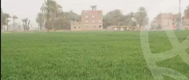 https://aqarmap.com.eg/ar/listing/2907743-for-sale-asyut-abu-tig-dawena