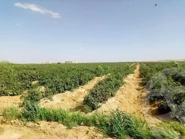 https://aqarmap.com.eg/ar/listing/2922050-for-sale-cairo-l-yt