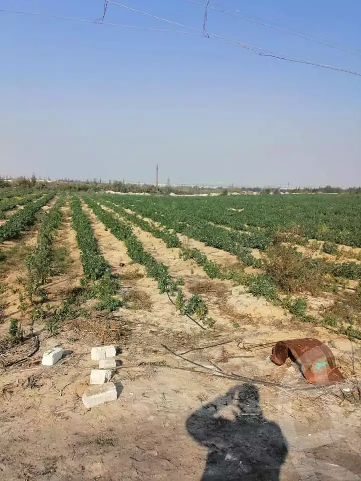 https://aqarmap.com.eg/ar/listing/2922050-for-sale-cairo-l-yt