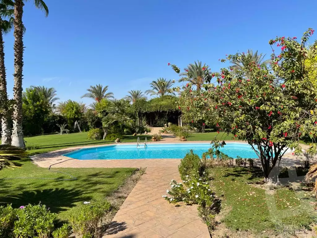 https://aqarmap.com.eg/en/listing/4165966-for-rent-cairo-alex-cairo-desert-road-wdy-lnkhyl