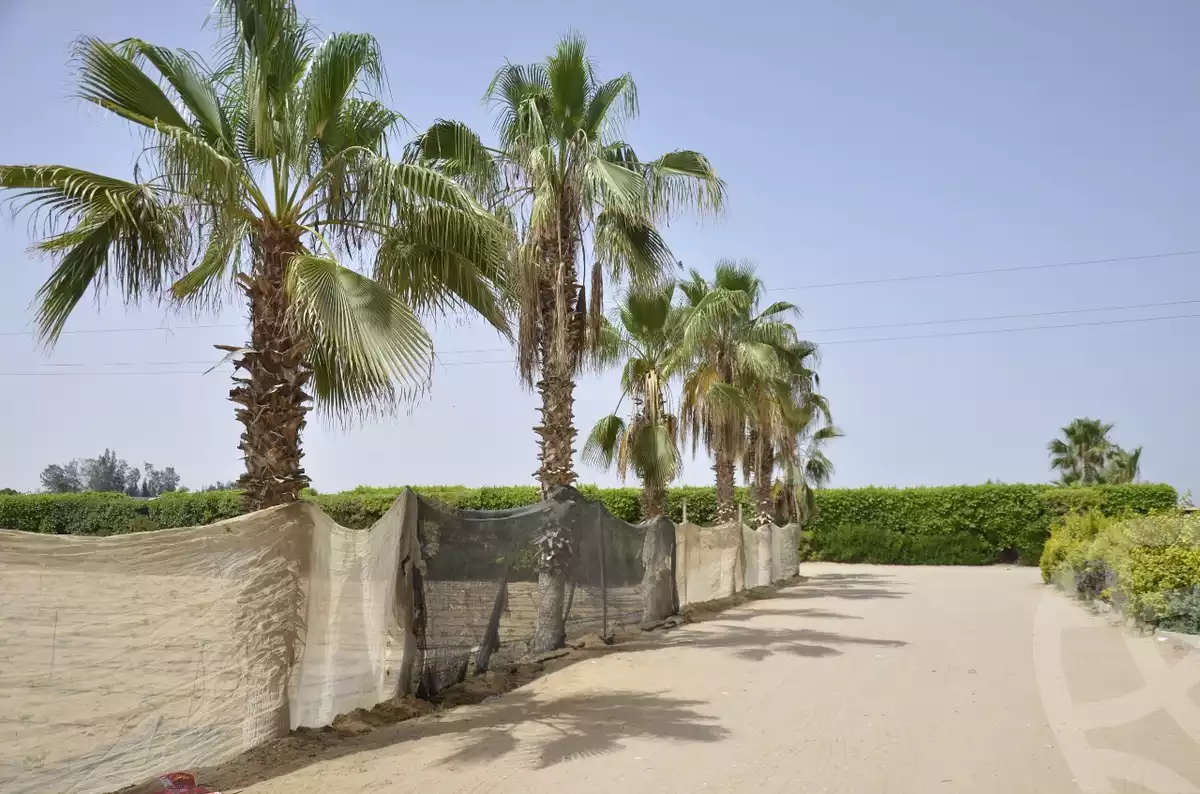 https://aqarmap.com.eg/en/listing/3836807-for-sale-ismailia-abu-sweer