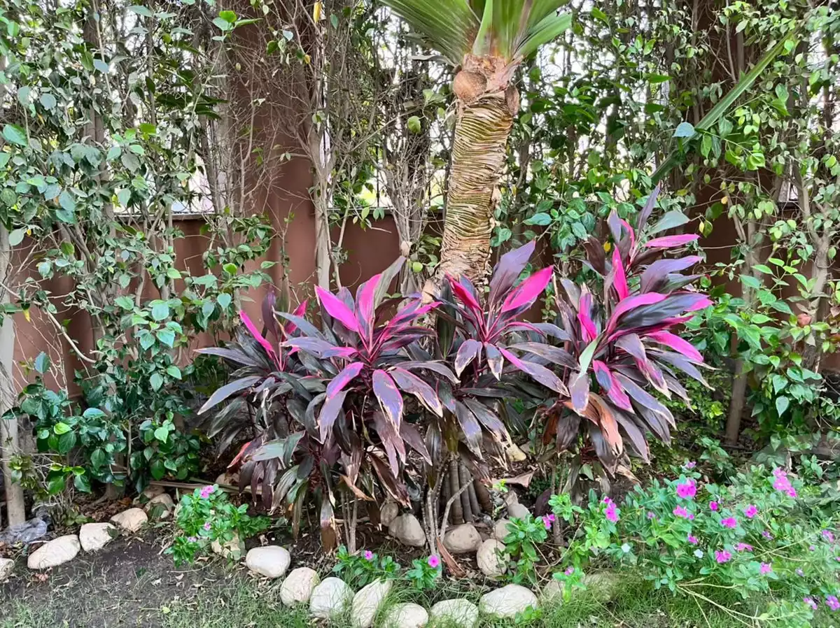 https://aqarmap.com.eg/ar/listing/3836399-for-sale-cairo-el-sheikh-zayed-city-hay-el-yassmin