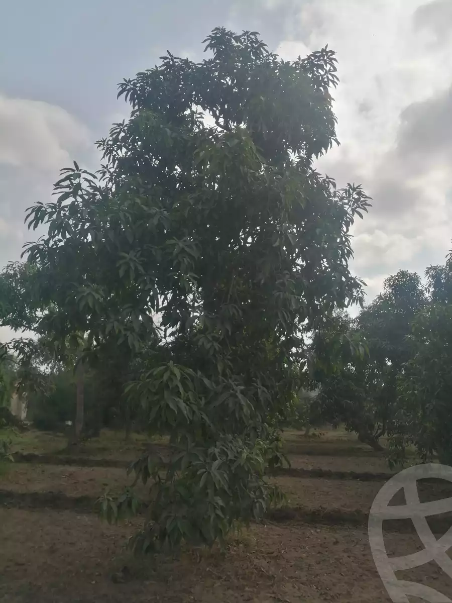 https://aqarmap.com.eg/en/listing/3871736-for-sale-ismailia-mntq-fr-y-blsm-yly