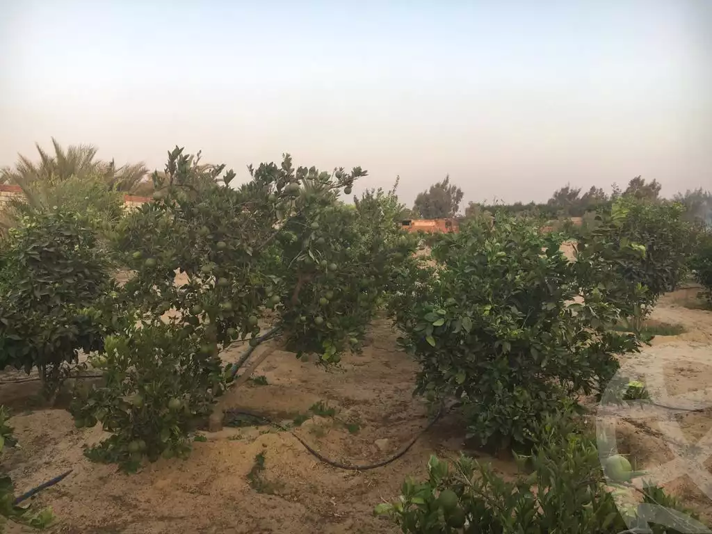 https://aqarmap.com.eg/ar/listing/3888045-for-sale-cairo-al-oubour-el-hay-el-sabaa