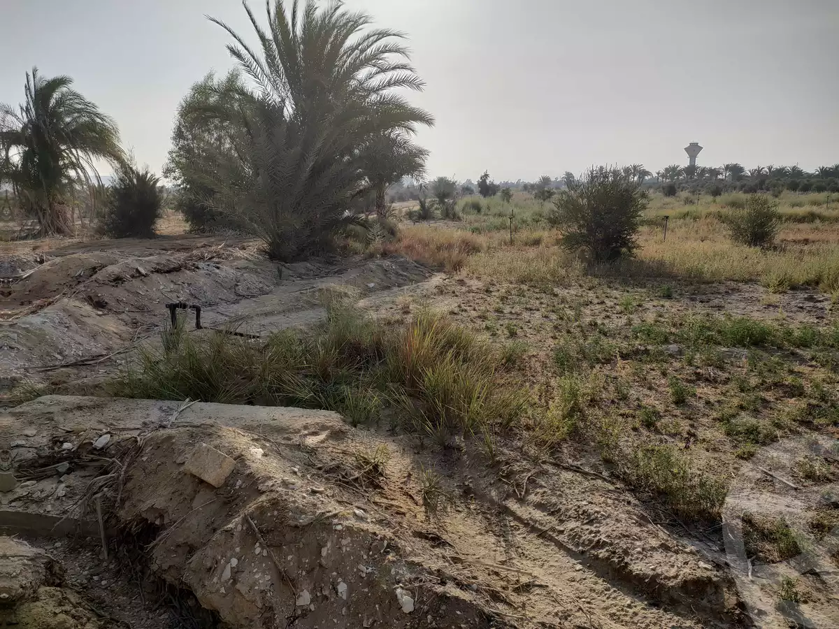 https://aqarmap.com.eg/ar/listing/4293224-for-sale-el-fayoum-yousef-el-sedeeq-yousef-el-sedeeq-city