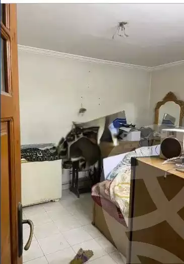 https://aqarmap.com.eg/en/listing/4383163-for-sale-cairo-el-sharabeya