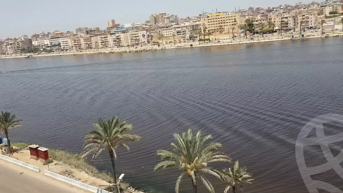 https://aqarmap.com.eg/en/listing/4038498-for-sale-damietta-city-al-nagda-st
