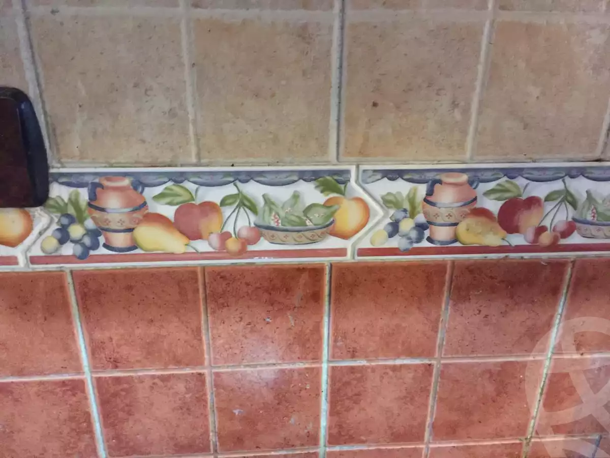 https://aqarmap.com.eg/en/listing/3706367-for-sale-alexandria-roshdy-tryq-ljysh