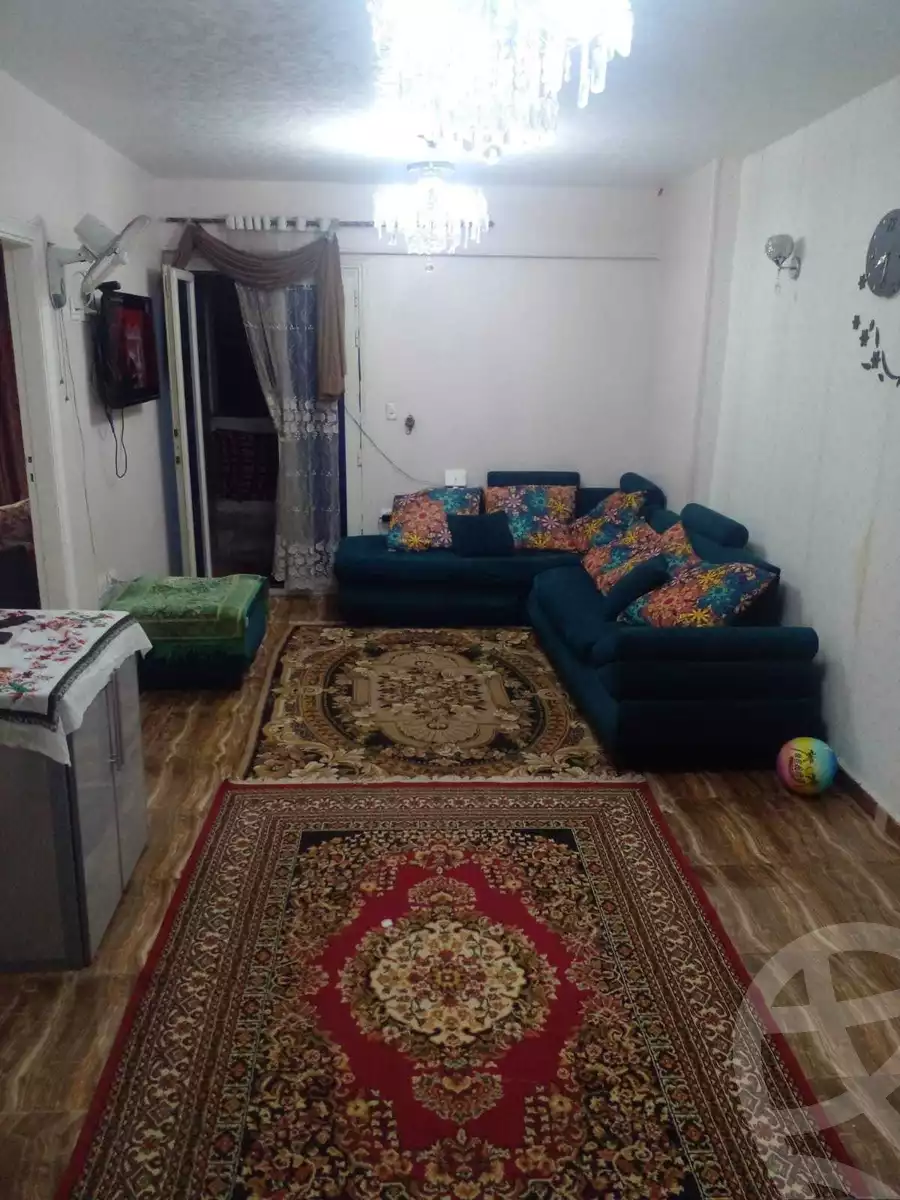 https://aqarmap.com.eg/ar/listing/3720954-for-sale-moussa-dewidar-st