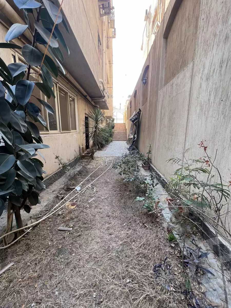 https://aqarmap.com.eg/en/listing/3822028-for-rent-new-cairo-el-narges-4-othman-mohram-st