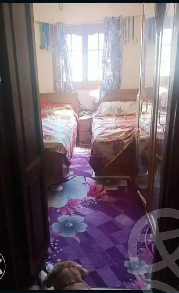 https://aqarmap.com.eg/en/listing/4307136-for-sale-alexandria-shds