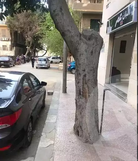 https://aqarmap.com.eg/en/listing/3884476-for-rent-cairo-manial-kwrnysh-lmnyl
