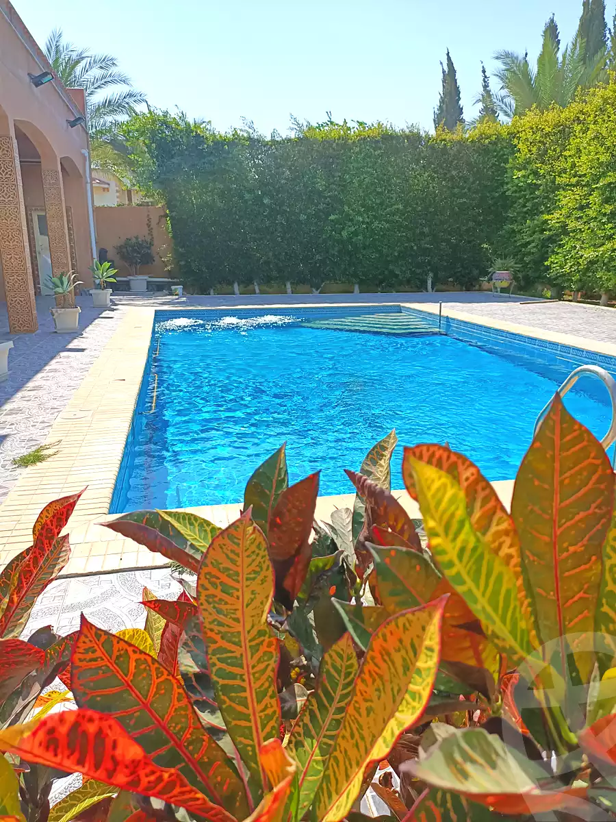 https://aqarmap.com.eg/ar/listing/4206966-for-rent-alexandria-king-maryot-cordoba-st