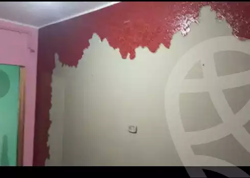 https://aqarmap.com.eg/ar/listing/4363352-for-rent-el-amir-st