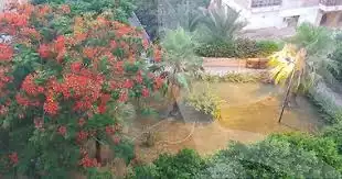 https://aqarmap.com.eg/ar/listing/3989953-for-sale-alexandria-lm-mwr-lm-mwr-lshty-el-shorta