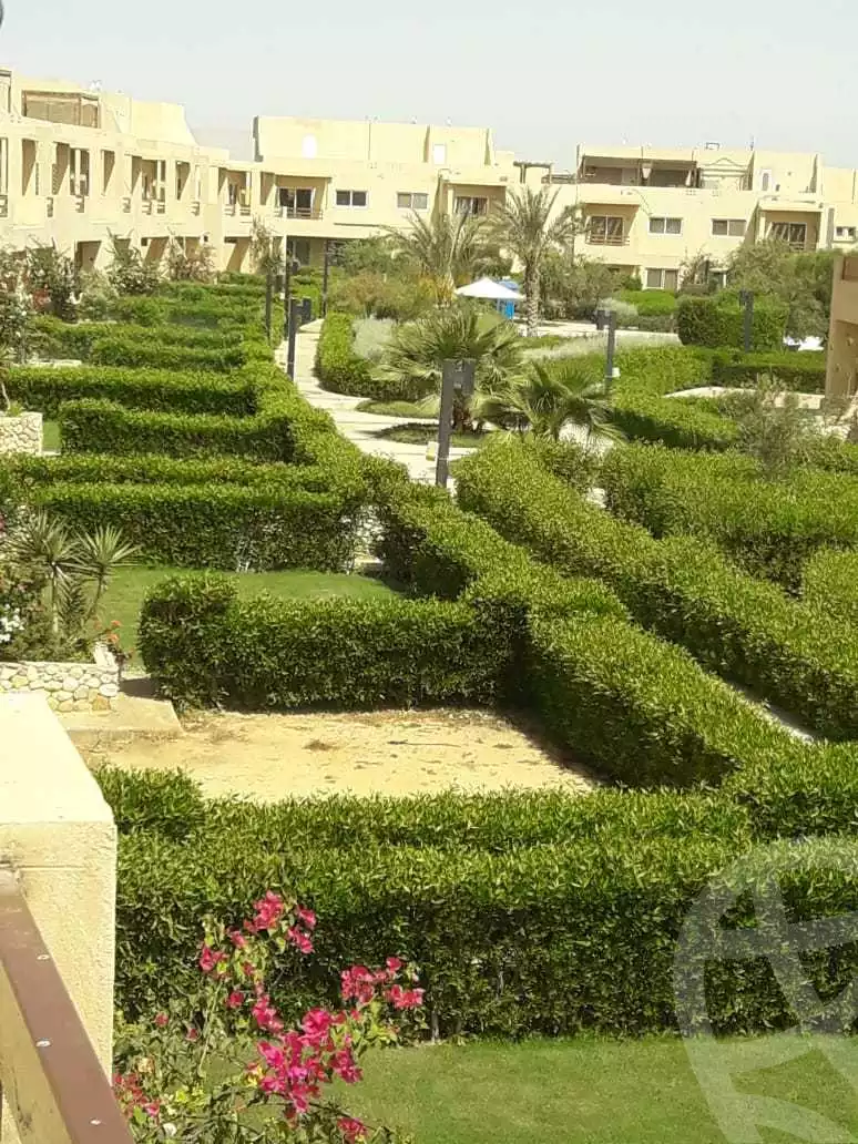 https://aqarmap.com.eg/ar/listing/4038649-for-rent-ras-sidr-ras-sidr-resorts-mousa-coast-resort