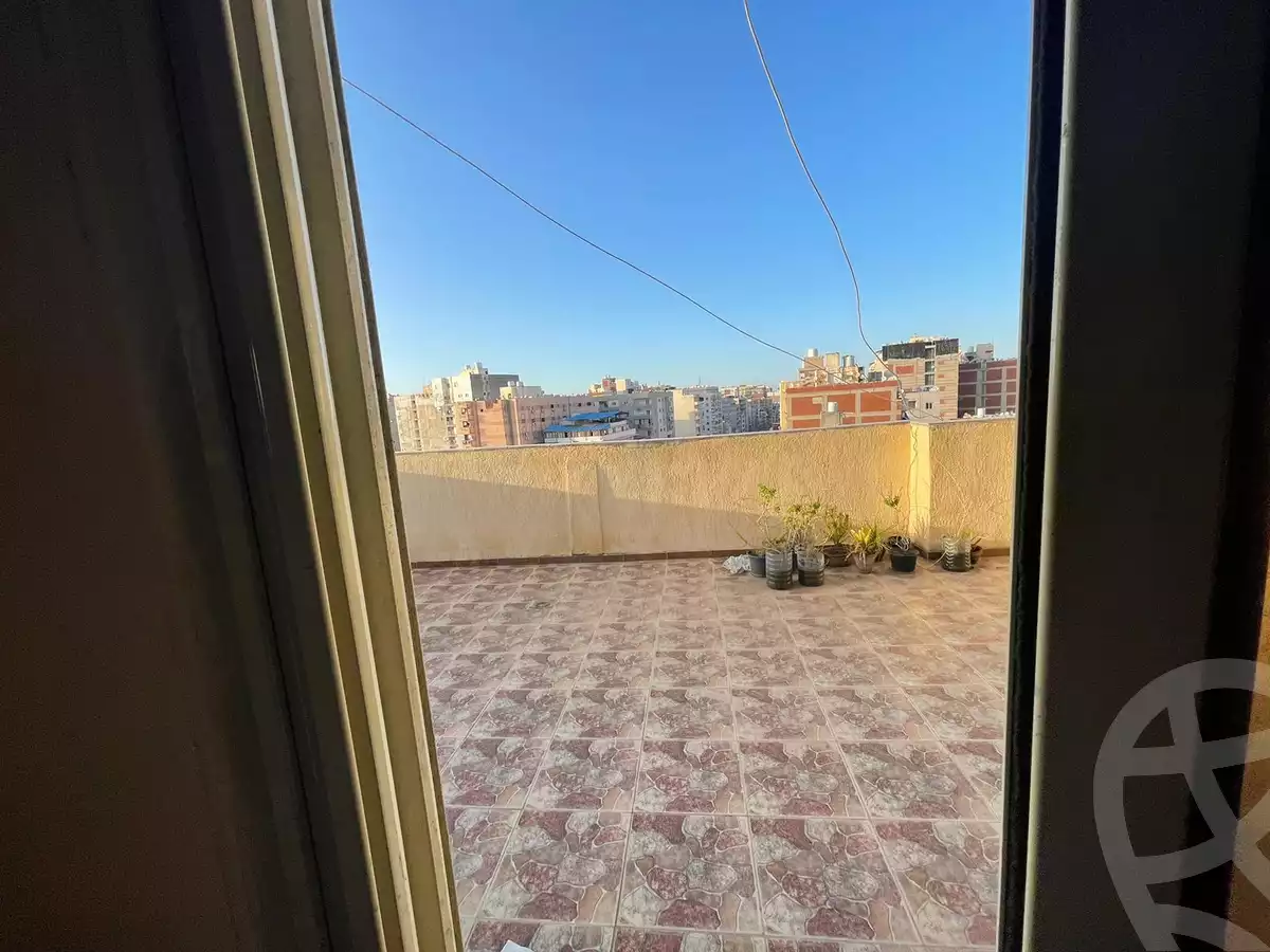 https://aqarmap.com.eg/en/listing/4047062-for-sale-alexandria-el-asafra-shr-jml-bd-lnsr
