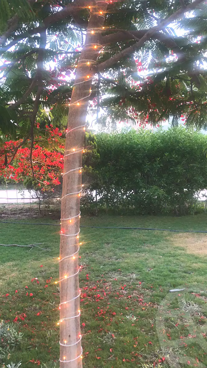 https://aqarmap.com.eg/ar/listing/4041807-for-rent-north-coast-resorts-diplo-2
