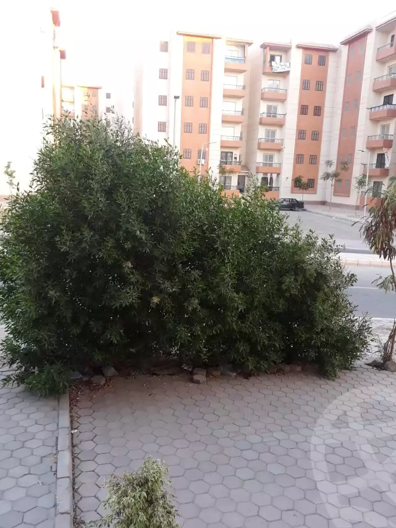 https://aqarmap.com.eg/en/listing/4059540-for-sale-cairo-6th-of-october-new-october-social-housing-800-acre