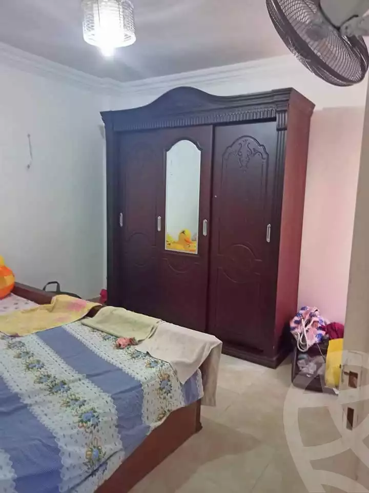 https://aqarmap.com.eg/en/listing/4111713-for-rent-alexandria-miami-khld-bn-lwlyd