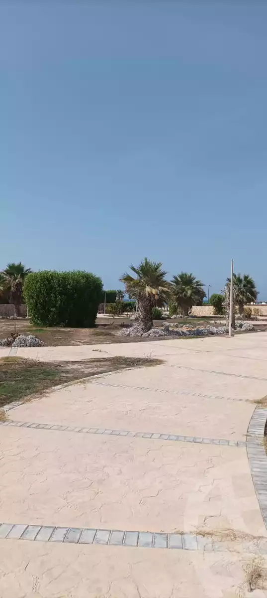 https://aqarmap.com.eg/en/listing/4111774-for-rent-north-coast-new-alamein-mntj-t-l-lmyn-ljdyd-blm-hylz-l-lmyn
