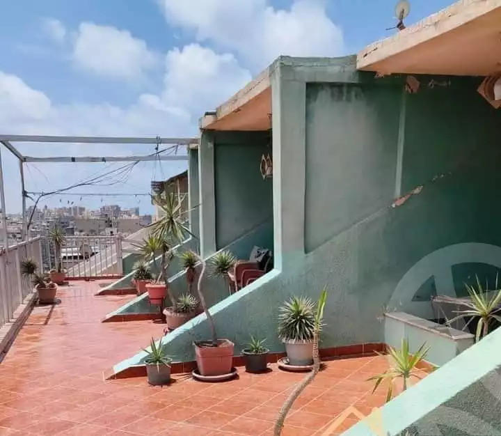 https://aqarmap.com.eg/en/listing/4121585-for-sale-alexandria-roshdy-shr-bw-qyr-tryq-lhry