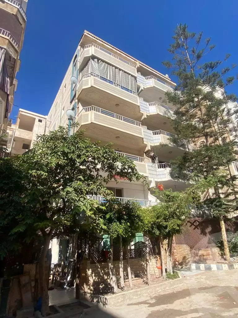 https://aqarmap.com.eg/en/listing/4139802-for-sale-alexandria-l-jmy-shataa-el-nakheel-street-61