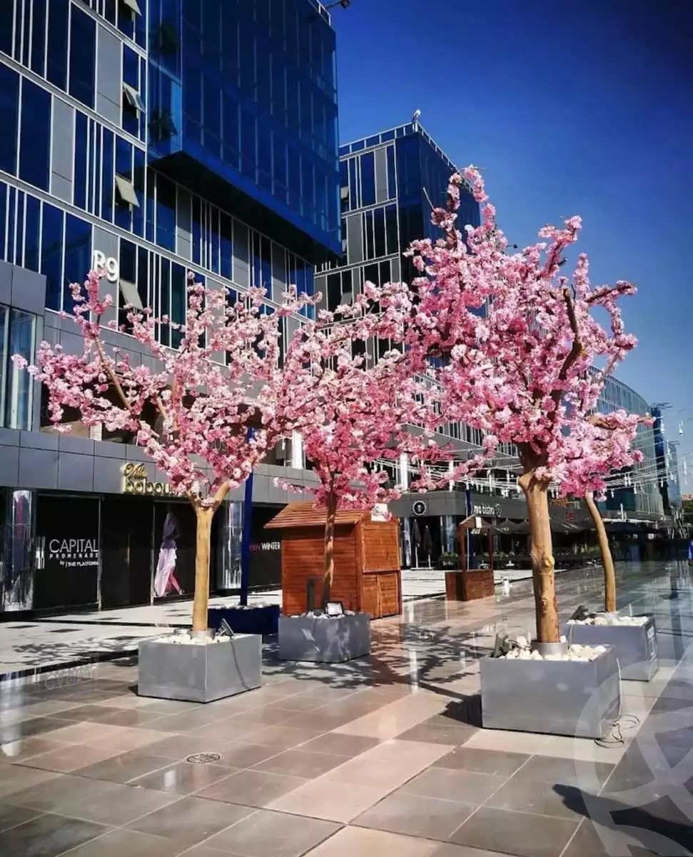 https://aqarmap.com.eg/en/listing/4156045-for-sale-cairo-el-sheikh-zayed-city-compounds-in-sheikh-zayed-capital-business-park