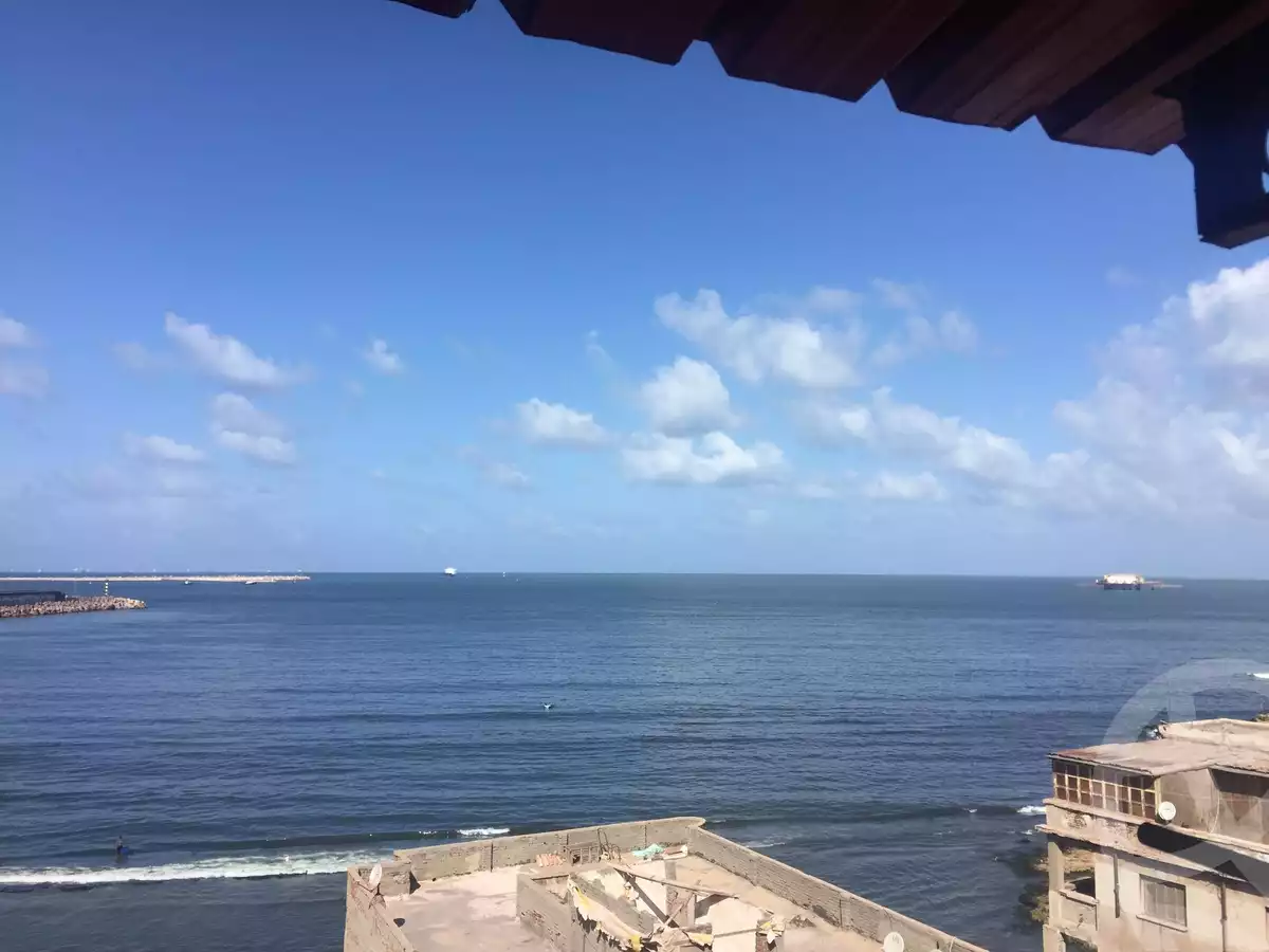 https://aqarmap.com.eg/en/listing/4163009-for-sale-alexandria-myn-ldkhyl