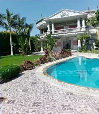 https://aqarmap.com.eg/ar/listing/4166789-for-rent-mohamed-rashid-st