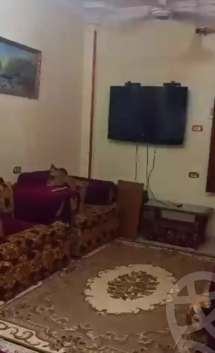 https://aqarmap.com.eg/en/listing/6215882-for-rent-suez-el-ganain