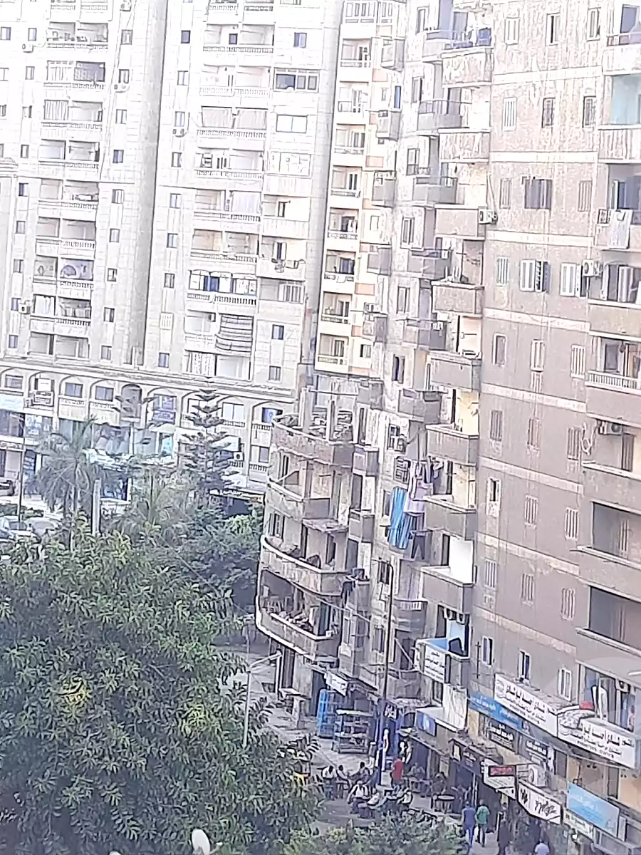https://aqarmap.com.eg/en/listing/4183291-for-sale-alexandria-el-mandara-nabawy-al-mohandes-st