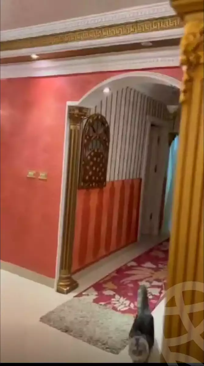 https://aqarmap.com.eg/en/listing/4184326-for-sale-cairo-el-maadi-daeaary-el-maadi