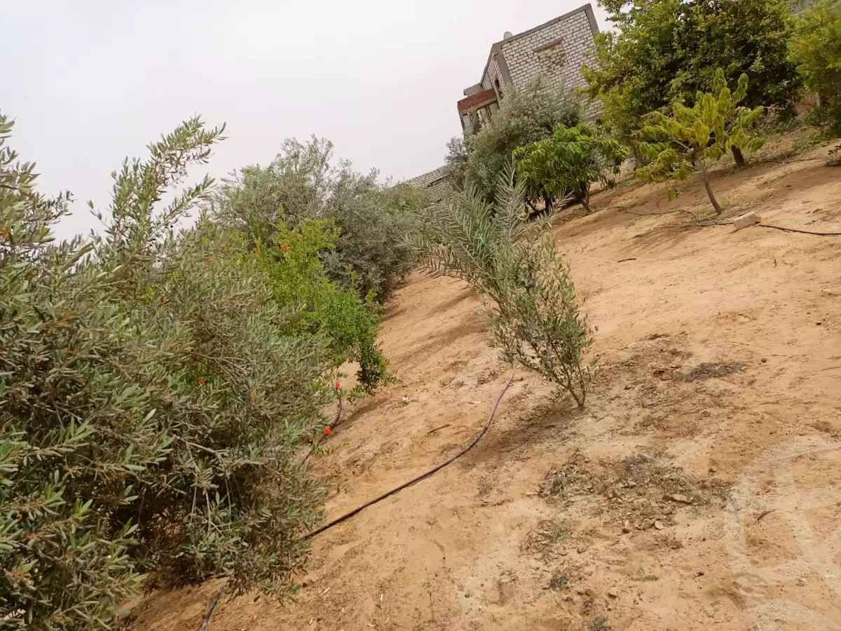 https://aqarmap.com.eg/en/listing/4207548-for-sale-cairo-ismailia-desert-road-golden-park