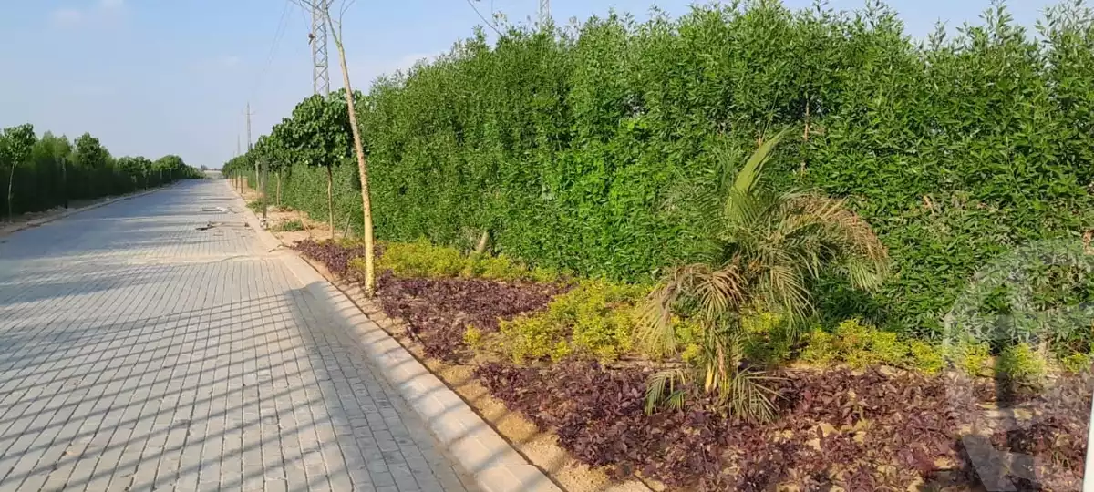 https://aqarmap.com.eg/ar/listing/4230389-for-sale-cairo-alex-cairo-desert-road-mdyn-sfnks-ljdyd