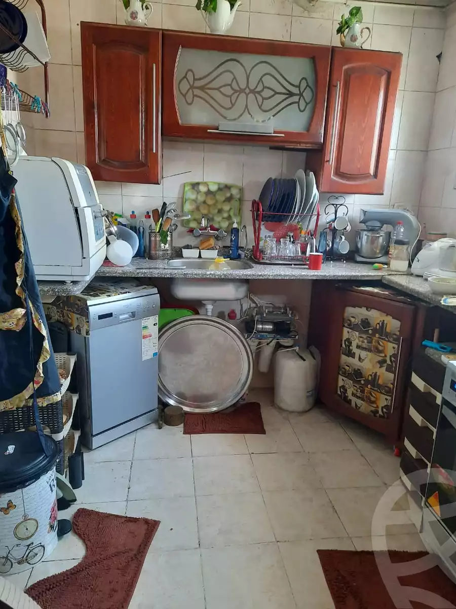 https://aqarmap.com.eg/en/listing/4234557-for-rent-gamila-abu-herid-st