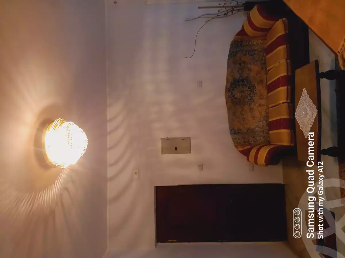 https://aqarmap.com.eg/en/listing/4245813-for-rent-cairo-manial-lmnyl-lshrqy