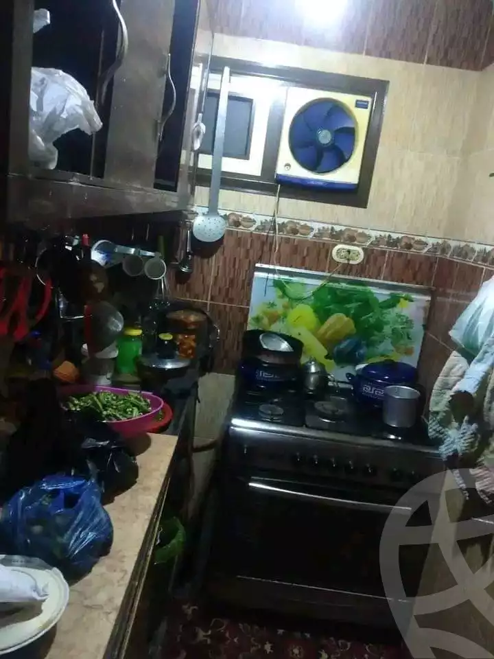 https://aqarmap.com.eg/en/listing/4279445-for-sale-alexandria-sydy-bshr-shr-mlk-hfny