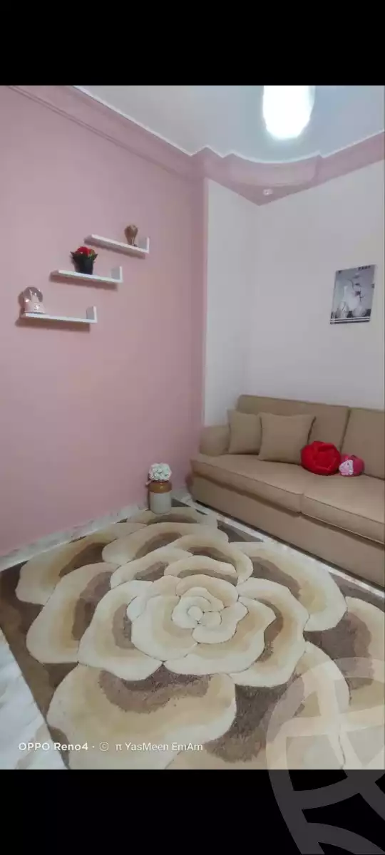 https://aqarmap.com.eg/ar/listing/4310591-for-sale-hamad-yassin-st