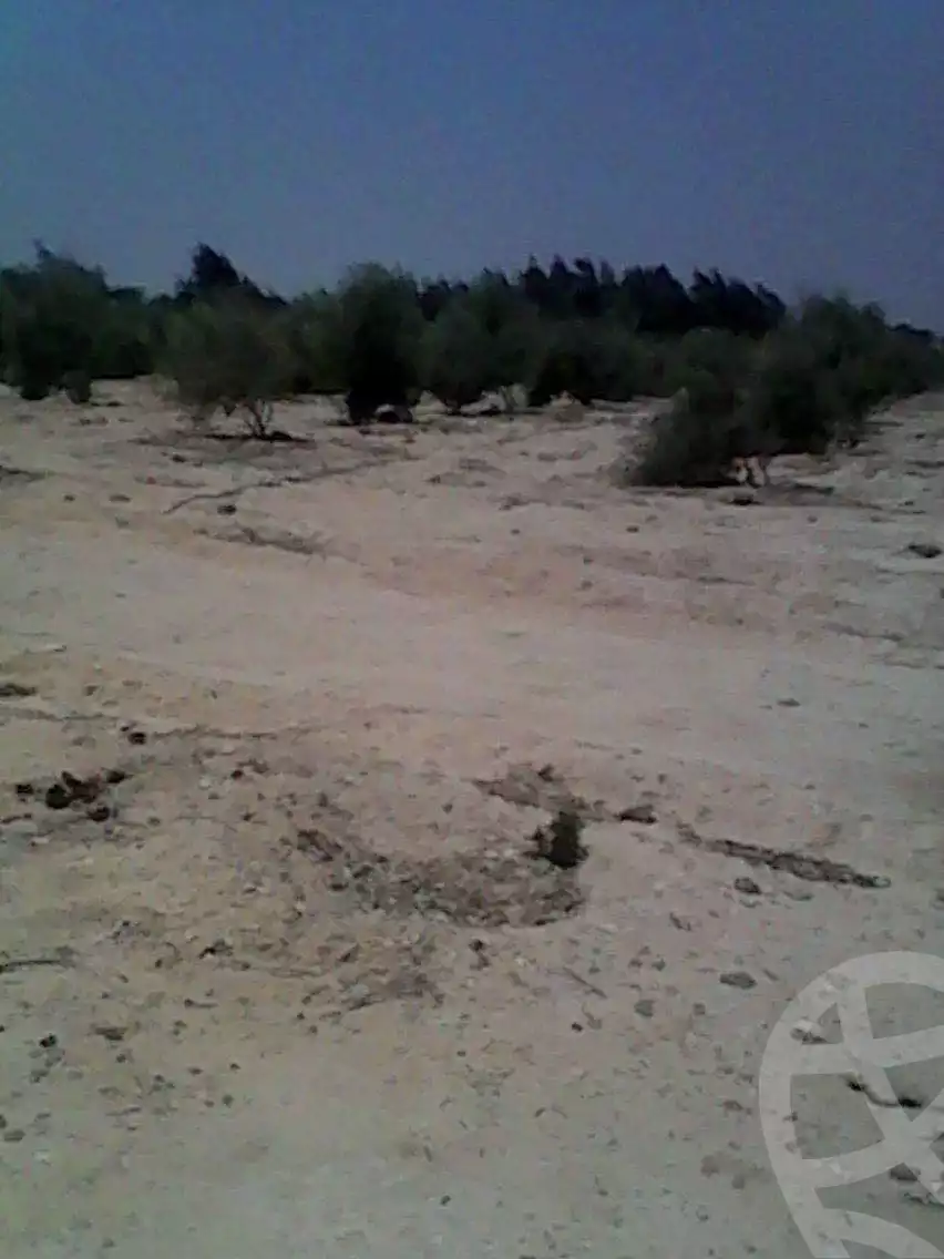 https://aqarmap.com.eg/ar/listing/4329118-for-sale-el-fayoum-mntq-fr-y-blfywm