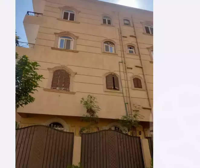 https://aqarmap.com.eg/en/listing/4341559-for-sale-cairo-el-shorouk-lhy-lts-neighbourhood-1-street-11