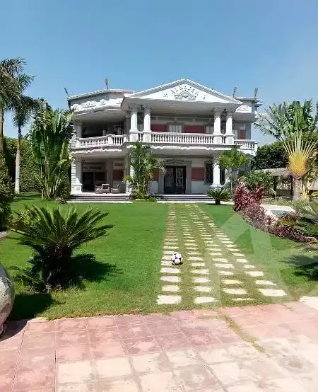 https://aqarmap.com.eg/en/listing/4360568-for-rent-mohamed-rashid-st