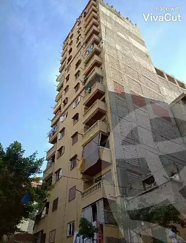 https://aqarmap.com.eg/ar/listing/4423223-for-rent-alexandria-sidi-beshr-qebli-tahseen-el-seha-school-st