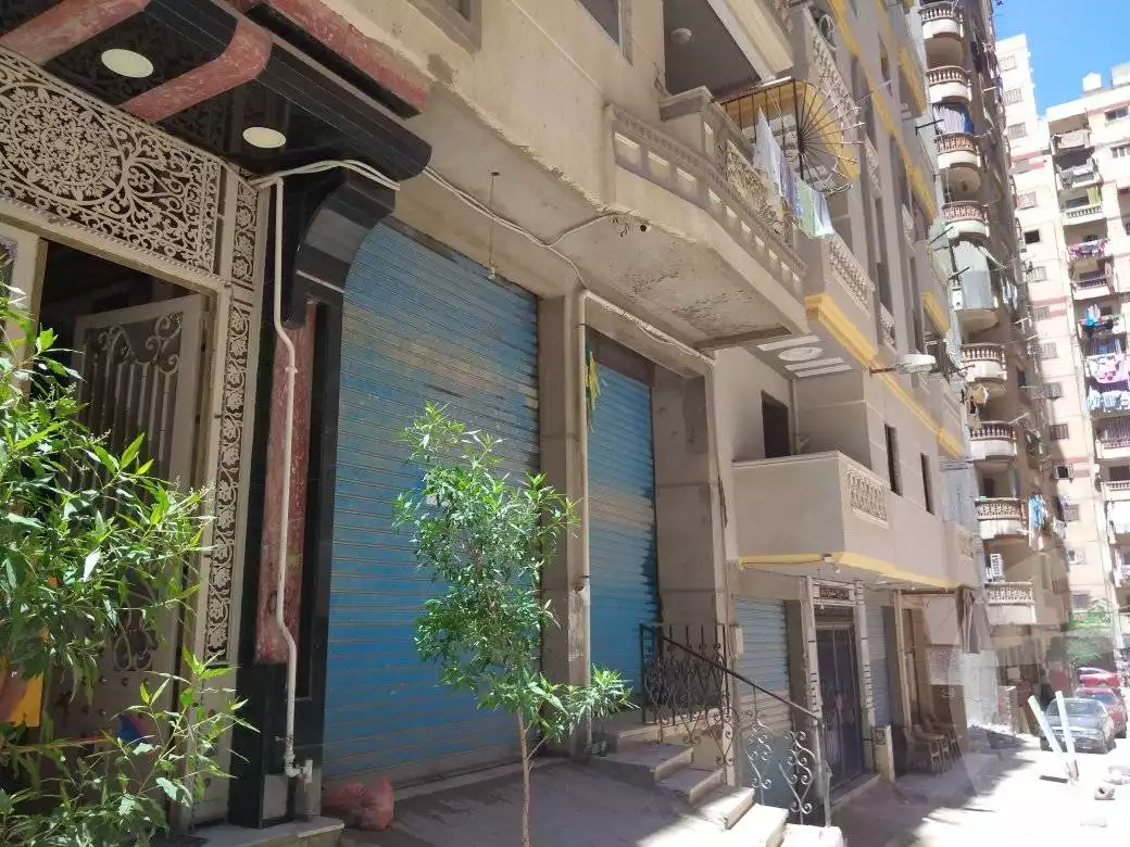 https://aqarmap.com.eg/ar/listing/4526081-for-rent-alexandria-sydy-bshr-sydy-bshr-qbly-rd-lfdly