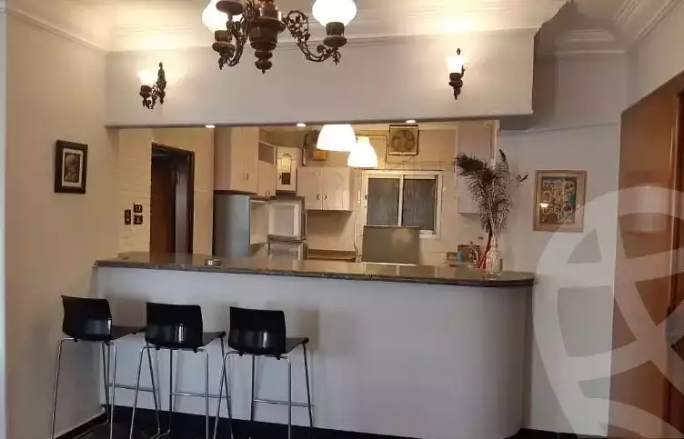 https://aqarmap.com.eg/en/listing/4725633-for-rent-cairo-al-zamalek