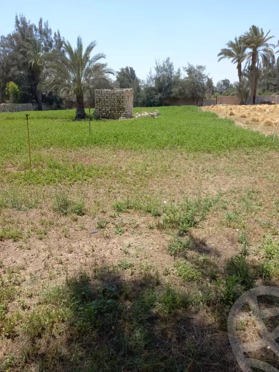 https://aqarmap.com.eg/en/listing/5527582-for-sale-beheira-wadi-el-natrun-kafr-dahoud