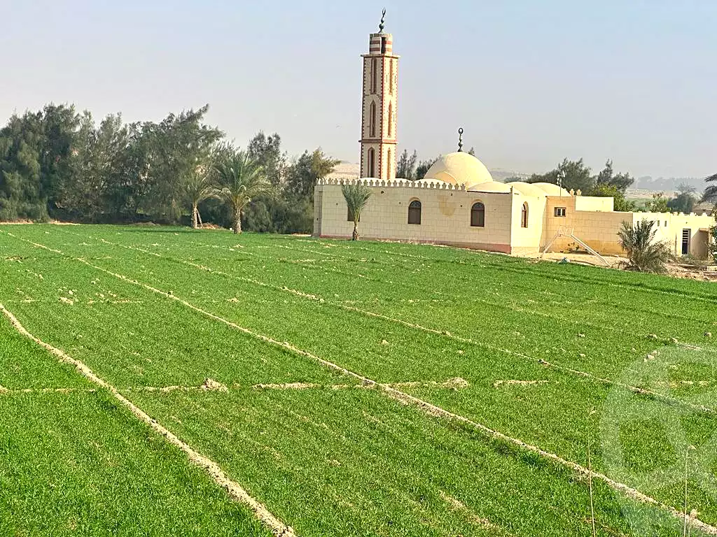 https://aqarmap.com.eg/ar/listing/4360493-for-sale-el-fayoum-sinnuris-monshat-tntawy