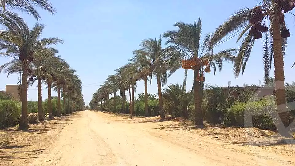 https://aqarmap.com.eg/ar/listing/4360493-for-sale-el-fayoum-sinnuris-monshat-tntawy